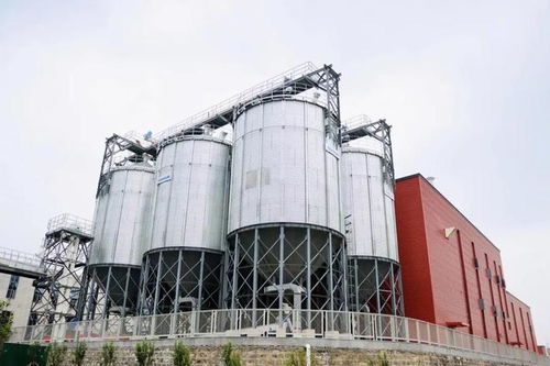 山東省酒業(yè)協(xié)會(huì)領(lǐng)導(dǎo)參觀指導(dǎo)趵突泉酒莊技術(shù)開(kāi)發(fā)與建設(shè)工作