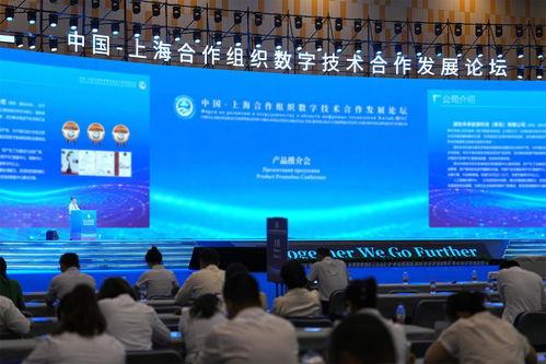 以 上合 為媒 共繪合作發(fā)展新圖景 技術(shù)服務(wù)的驅(qū)動(dòng)與未來(lái)