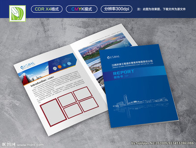 技術咨詢報告書與技術服務 賦能企業數字化轉型的全面指南